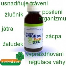 OKG Emulips Forte XXL trávení 120 ml