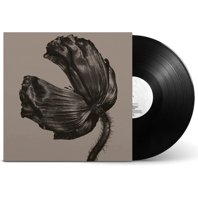 Release - Pet Shop Boys LP