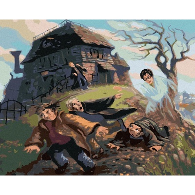 Zuty Harry potter a neviditelný plášť 40 x 50 cm vypnuté plátno na rám 8596530132936