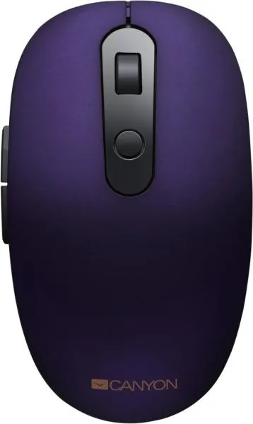 CANYON MW-9 (CNS-CMSW09V)