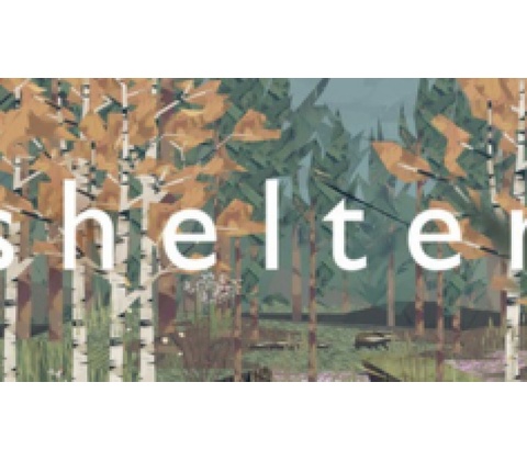 Shelter