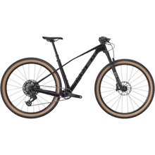 Trek Procaliber 9.6 2026