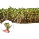 Dekorace Green Stuff World Tall Shrubbery: White Green