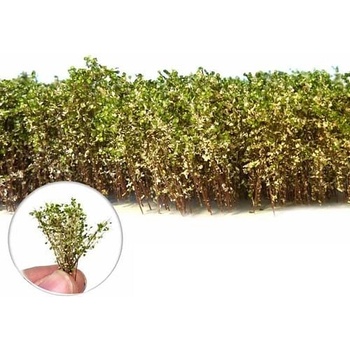 Dekorace Green Stuff World Tall Shrubbery: White Green