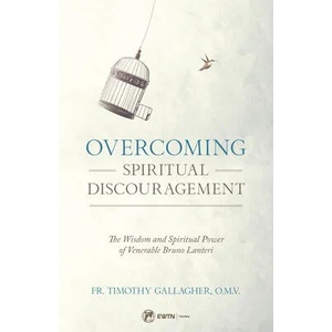 Overcoming Spiritual Discouragement | Fr Timothy Gallagher (ISBN: 9781682780954)
