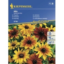 Třapatka Rudbeckia hirta směs Kiepenkerl