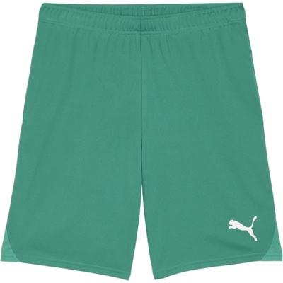 Puma teamGOAL Shorts – Zboží Dáma