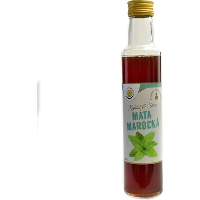 Salvia Paradise Máta marocká bylinný koncentrát 250 ml