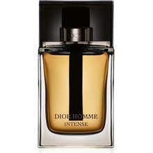 Christian Dior Intense parfémovaná voda pánská 100 ml