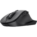 Trust Fyda Multi-device Wireless Mouse 25708