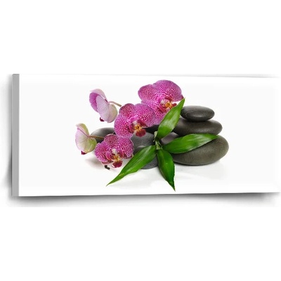 Sablio Obraz Orchidea a kamene - 110x50 cm