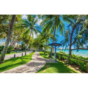 DIMEX ART Флизелинов фототапет палмова алея 375 x 250 см