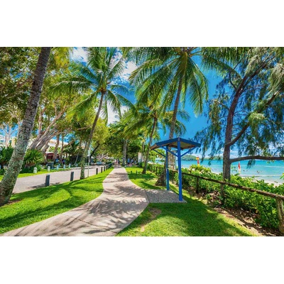 DIMEX ART Флизелинов фототапет палмова алея 375 x 250 см