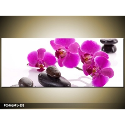 Obraz orchidej s kameny