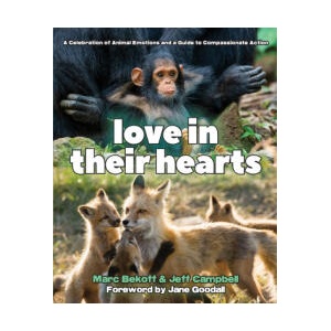 Love in Their Hearts (ISBN: 9781968919306)