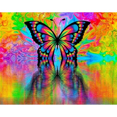 Gaira Malování podle čísel Motýl