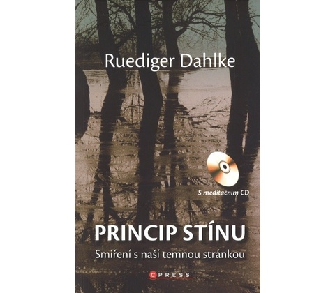 Princip stínu