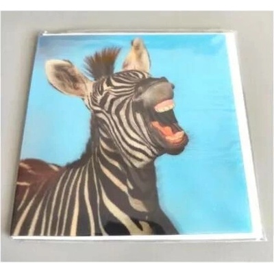Lowlands s.r.o. Přání do obálky 3D Zebra