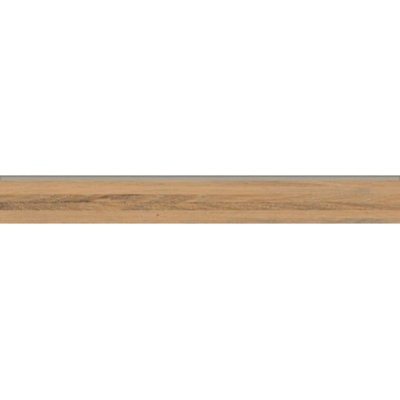 Rako DSASP843 1ks