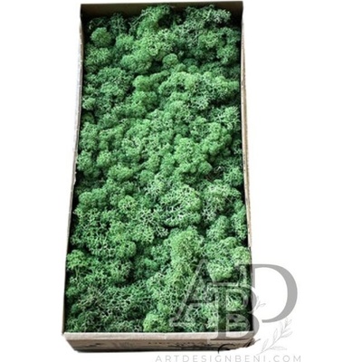 Art Design Beni Скандинавски мъх 500 гр. тъмно зелен (14)
