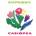 Casiopea - Euphony CD