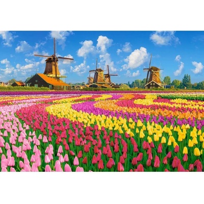 Castorland Dutch Windmills Among Tulips 1000 dílků
