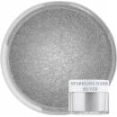Fractal Jedlá prachová perleťová barva Sparkling Dark Silver 3,5 g