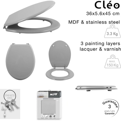 MSV CLEO 140019