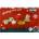 Dantoy Christmas Tea Set (8862)