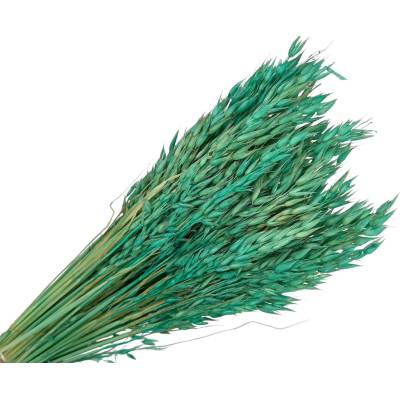 Sušený aranžérsky ovos - klasy 150g - tyrkysové