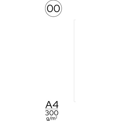 Folia papír A4 barevný bílá 661391