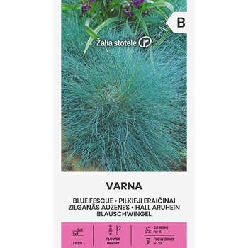 Image 1 of Seklos Декоративна трева Varna Festuca ovina Glauca