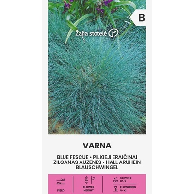 Seklos Декоративна трева Varna Festuca ovina Glauca