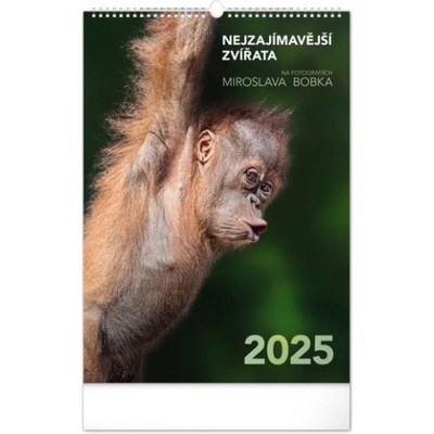Nejzajímavější zvířara nástěnný 2025