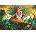 Bluebird Puzzle - Puzzle Galchutt: Aloha II - 1 000 piese