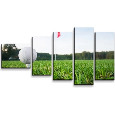 Sablio Obraz - 5-dílný Golf - 100x60 cm