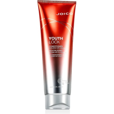 Joico Youth Lock Conditioner 250 ml