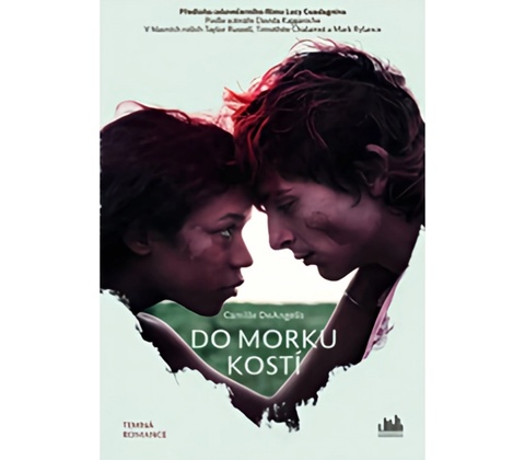 Do morku kostí