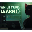 while True: learn