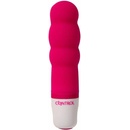 Control Velvet Secret Mini Estimulator