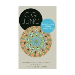 Consciousness and the Unconscious | C. g. Jung, Ernst Falzeder (ISBN: 9780691228570)