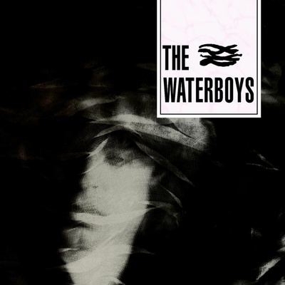 WATERBOYS THE: THE WATERBOYS LP