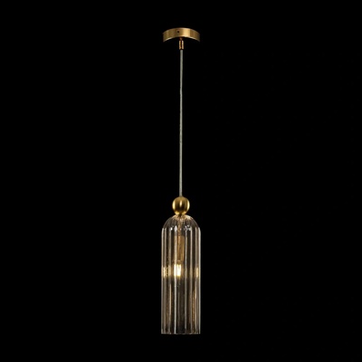 Maytoni MOD302PL-01CG