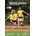 Dětská atletika