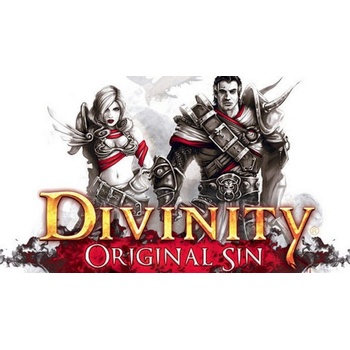 Divinity: Original Sin - Source Hunter