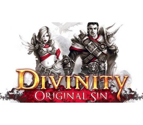 Divinity: Original Sin - Source Hunter