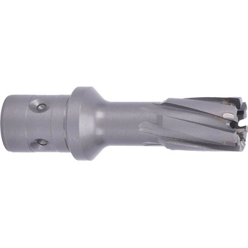 ABSE N-CA-F18-0170050