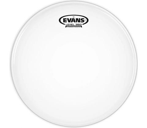 Evans B12G1