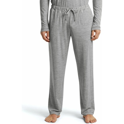 Icebreaker Mens Merino 150 Lodge Pants Metro Heather