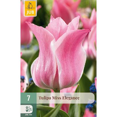 JUB Tulipán - Miss Elegance